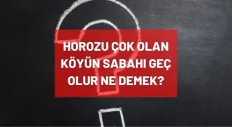 Horozu çok olan köyün sabahı geç olur atasözünün anlamı nedir, ne demek? Horozu çok olan köyde sabah geç olur TDK'ya göre ne anlama geliyor?