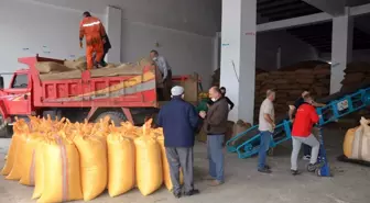 Ordu'da TMO'ya talep artıyor
