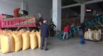 Ordu'da TMO'ya talep artıyor