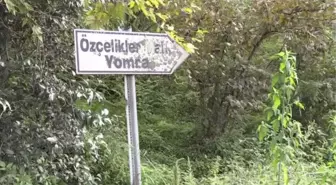 94 yaşında kalp ameliyatı olan Zehra nine ikinci baharını yaşıyor