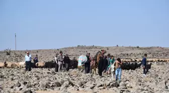 Kahramanmaraşlı göçerler dönüş yolunda