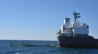 Muğla'da kuru yük gemisi balık üretim çiftliğinin havuzuna çarptı