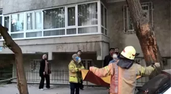 AVCILAR'DA AĞAÇTA MAHSUR KALAN KEDİYİ İTFAİYE KURTARDI