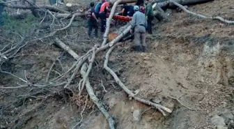 Mersin'de yaralı orman işçisi 2 kilometre sedyede taşınarak hastaneye ulaştırıldı