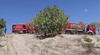 Son dakika haberi: Ormanlık alanda başlayıp zeytin bahçesine sıçrayan yangın söndürüldü