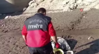Son dakika... Bataklığa saplanan eşek itfaiye ekipleri tarafından kurtarıldı