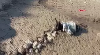 BATAKLIĞA SAPLANAN EŞEK, KURTARILDI