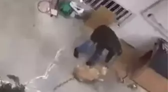 KÖPEĞİNE ŞİDDET UYGULAYAN EMEKLİ RADYOLOJİ UZMANI İFADESİNİN ARDINDAN SERBEST BIRAKILDI