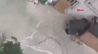 MALTEPE'DE KÖPEĞİNE ŞİDDET UYGULAYAN EMEKLİ RADYOLOJİ UZMANI GÖZALTINA ALINDI