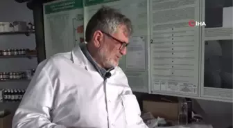 Semizotu tohumundan bitkisel omega 3 ilaç etken maddesi üretiyorlar