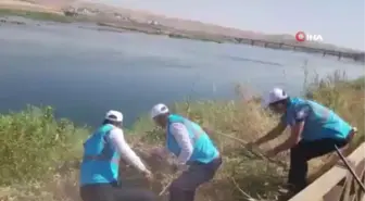 Şırnak'ta DEDAŞ personelleri Dicle Nehri çevresini temizledi