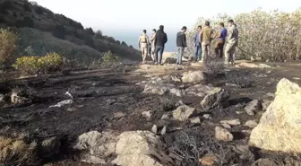 Tatvan'da örtü yangını