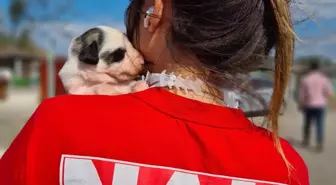 Bursa'da arama kurtarma ekibi ve hayvanseverler barınakta tadilat yaptı