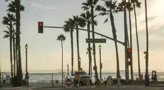 California'da petrol sızıntısı deniz yaşamını tehdit ediyor