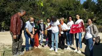 Hindistanlı Mohanji, Gürleyik köyüne 112 adet dut fidanı armağan etti