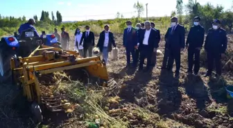 Kırşehir Valisi Akın, öğrencilerin uygulama bahçesinde patates hasadına katıldı