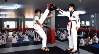 Nusaybin'de 120 taekwondocu yeni kuşaklarına kavuştu