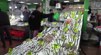 Havaların soğumasıyla balık tezgahları şenlendi