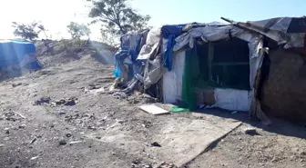 İhalesini kaybettiği tesisi boşaltmayınca canından oldu