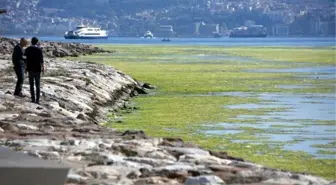 İZMİR'DE DENİZ YEŞİLE BÜRÜNDÜ