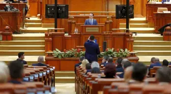 Romanya'da siyasi kriz: Hükümet düştü