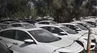 Bakan Muş, araç satışlarıyla ilgili canlı yayında açıklamalarda bulundu: Gerekirse mevzuatı değiştiririz