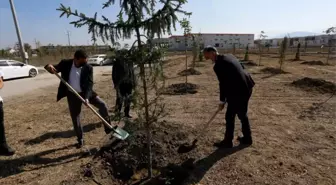 154 Fidan Toprakla Buluştu