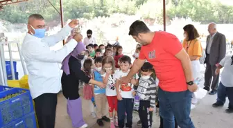 Kumluca'da anaokulu öğrencileri zeytinyağı fabrikasını inceledi