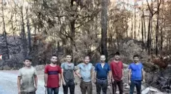 MARMARİS'TE BİR AYDA YANGINDAN ZARAR GÖREN YAKLAŞIK 500 HEKTAR ALAN TEMİZLENDİ