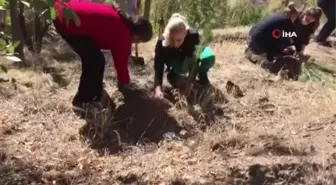 Tunceli'de Tenzile Erdoğan anısına fidan dikimi gerçekleştirildi