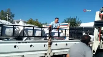Adaçayı yağı her derde deva