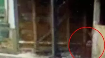 İngiltere kırmızı battaniyeli kızı konuşuyor! Esrarengiz fotoğraf yetkilileri harekete geçirdi
