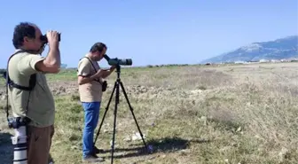 Herkes fotoğrafını çekmek için koştu! Türkiye'de ilk defa görülen kuş türü heyecan yarattı