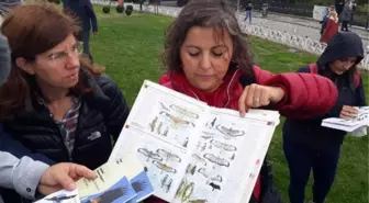 KUŞ GÖZLEMCİLERİ ÇAMLICA TEPESİ'NDE BİR ARAYA GELDİ