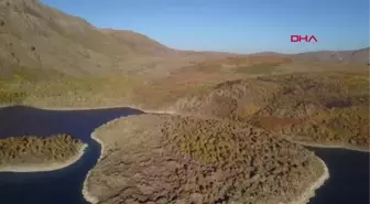 SONBAHAR GÜZELLİĞİNİ GÖRÜNTÜLEMEYE GELDİLER