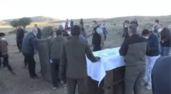Yaban koyunlarında yarım asırlık emeğin meyveleri alınıyor