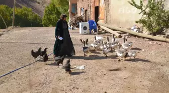 Hakkari'de iki doz aşı yaptıran 117 yaşındaki kadın Kovid-19'u hafif atlattı