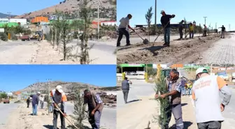 Kozan Belediyesinden Organize Sanayi Bölgesine ağaç dikimi