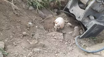 Ankara'da yol çalışması sırasında Belediye ekipleri insan kemikleri bulundu