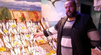 Fiyatları yarı yarıya azaldı