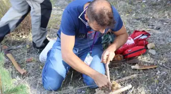 Isparta'da doğada hayatta kalma eğitimi verildi