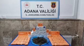 Son dakika haber... Adana'da jandarma denetimlerinde 3 kişi gözaltına alındı