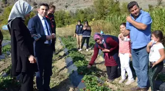 Hanönü'nde 15 Ekim Dünya Kadın Çiftçiler Günü kutlandı