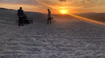 Çekirdek hiç bu kadar güzel görünmemişti