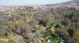 Sonbahar renkleri Gesi Bağları ve Koramaz Vadisi'ne ayrı güzellik kattı