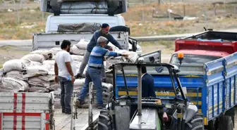 Türkiye'deki buğday ve arpa açığını bu yıl Başkentli çiftçi kapatacak