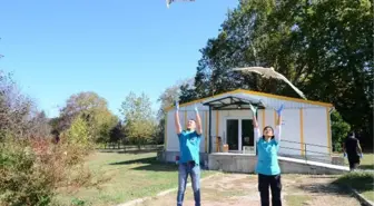 YARALI KUŞLAR ÖNCE SAĞLIKLARINA SONRA ÖZGÜRLÜKLERİNE KAVUŞTU