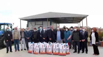 Üreticilere yem bezelyesi tohumu dağıtıldı