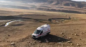 Bingöl'de köpeğe çarpmamak için manevra yapan ambulans şarampole devrildi