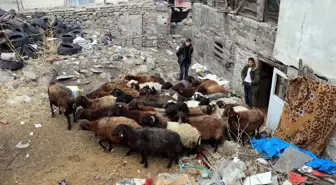 Erzurum'da çıkan yangın eski İller Bankası binası ile bir yurdun çatısına zarar verdi